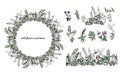 Composition of stylized wild plants, seamless brush, a wreath and some plants